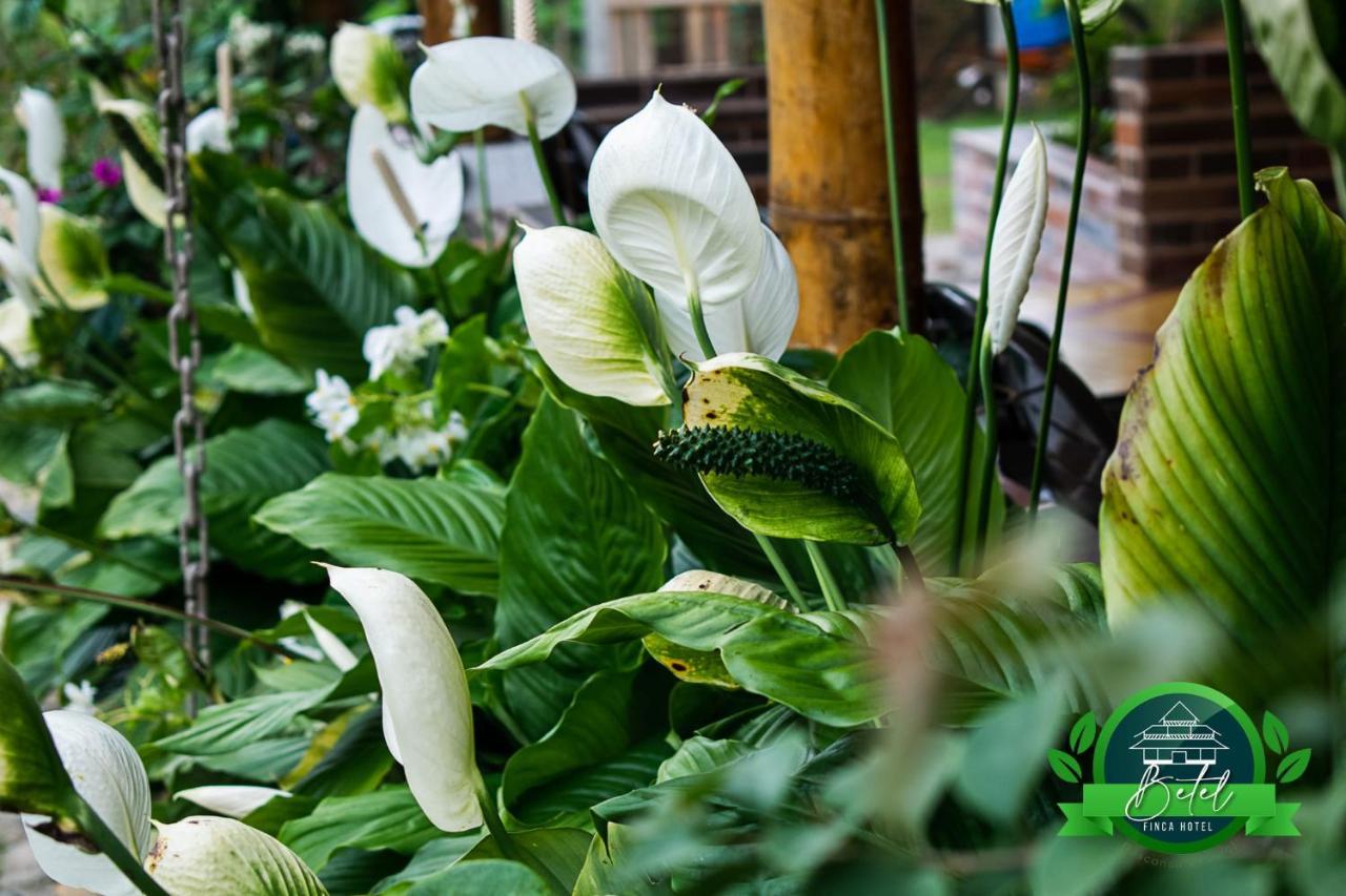 Finca Hotel Betel San Carlos Bagian luar foto