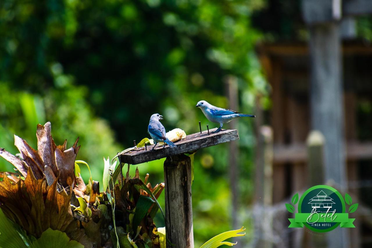 Finca Hotel Betel San Carlos Bagian luar foto